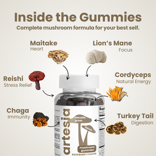 Mushroom Extract Gummies