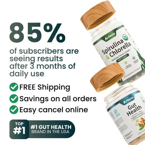 Gut Health Bundle