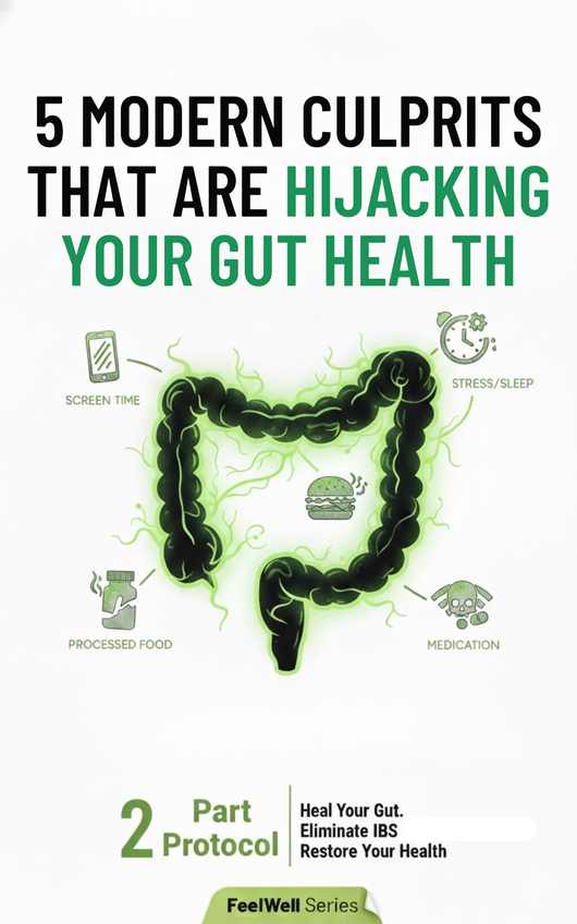 5 Modern Culprits That Are Hijacking Your Gut Health
