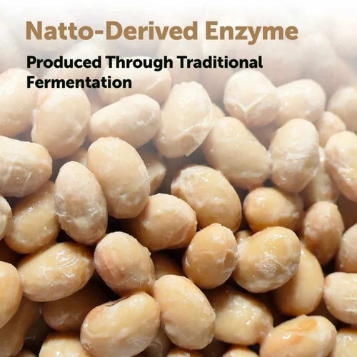 Nattokinase - 10,000 FU