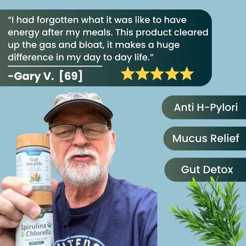 Gut Health Bundle