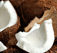 Coconut Oil