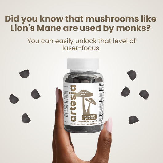 Mushroom Extract Gummies