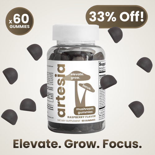 Mushroom Extract Gummies